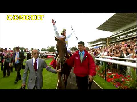 Preview of the Ballymacoll Dispersal at Tattersalls