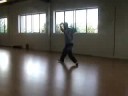 Ba Gua Zhang