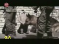 ايمان البحر درويش فيديو اغنية يا الاقصي ياجنه فيديو كليب اكتشف الموسيقى في موالي