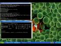 Crack WPA Tutorial