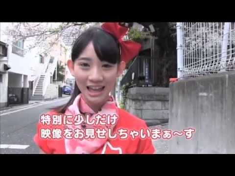 A会議室 第32回 チームしゃちほこ 特集