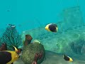 OceanDive