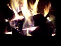 campfire at Myakka