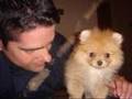 Xula, nuestra pomerania, cumple 1 añito!!