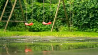 Relaxing Sound Escape - Light Rain