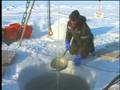 North Pole Environmental Observatory
