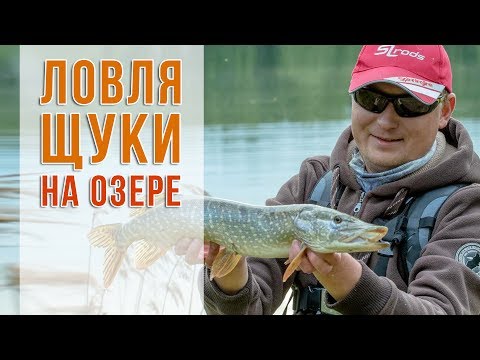 как поймать щуку в мае на озере как поймать щуку в мае на озере