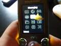 Sony Ericsson W580