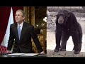 the monkey song with george w bush