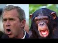 the monkey song with george w bush
