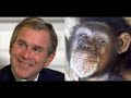 the monkey song with george w bush