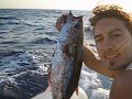 tuna2 tuna2