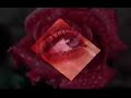 Legi�o Urbana - L�AVVENTURA