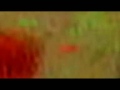 Tahuna Breaks-Insomnia .01