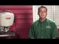 default All About Carpenter Ants   What They Do and How to Avoid Them