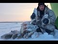 Видео - За язём / Зимняя рыбалка на язя / Язь / Обь