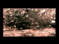 13   cafe tacuba  corto reves pt6 
