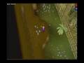 videos de Monkey Madness - The Final Fight