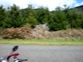 videos de Daytona Wheelie