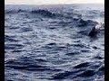 Pesca do Pargo.