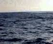 Pesca do Pargo.