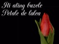 Frumoase-zilele