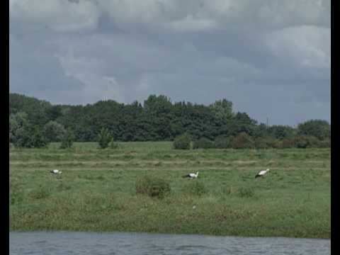 Scheller- en Oldeneler buitenwaarden uiterwaardvergraving