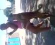 sexo  dog