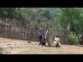 Hmoob - Hmong Lao Kids, koj thiab kuv ces zoo li no ntag, puas tseem nco nas