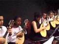 Chaconne in G minor - Vitali - Fábio Machado, mandolin