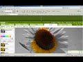 Picnik Tutorial