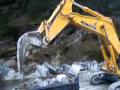 Video clip may xuc thuy luc gau nguoc flv ginggong com