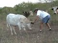 Texas 2 Step with Lucky Lucy