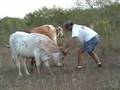 videos de Texas 2 Step with Lucky Lucy