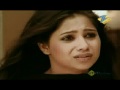 Shree Nov. 12 '09