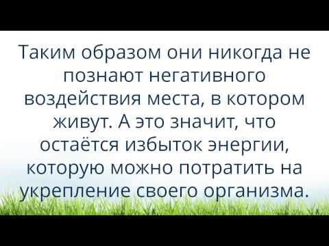 YouTube Трейлер