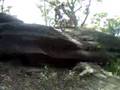videos de MTB Red Hill 1