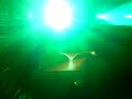 John O'Callaghan - Exactly (Original Mix) @ Istmo Nights