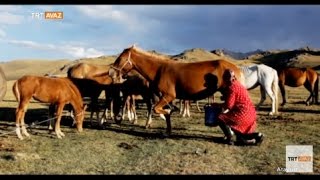 Kırgızistan ın Muhteşem Doğasını Gezdik Ata