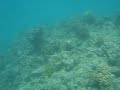 My Second Dive