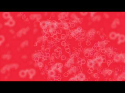 UNRIC Fabrica Video UNRIC Fabrica Video