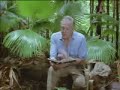 Birds of paradise - David Attenborough fulfils an ambition of a lifetime - BBC widlife Birds of paradise - David Attenborough fulfils an ambition of a lifetime - BBC widlife