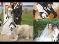 Best Friends Weddings Best Friends Weddings