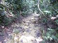 Trekking to Find Water falls - Thumb #2