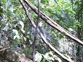 Trekking to Find Water falls - Thumb #3