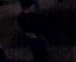 Melody Dancing At Dallas Bull Pt. 1