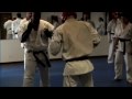 Black Belt 15 Fights (pt1) - David S. Tsai - (Miura Dojo) Oak Park IL