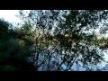 Stafford Moor Fishery