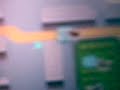 Nintendogs - Glitch