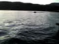sprintboat